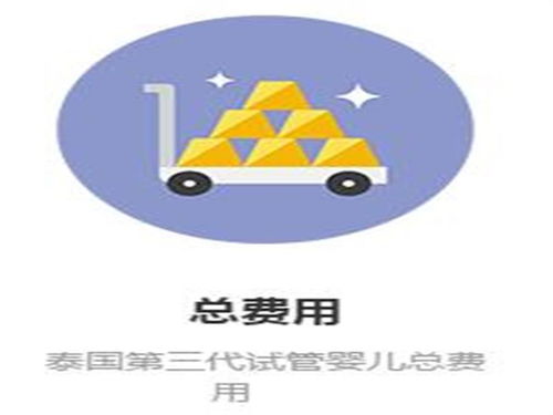 森艷精工出細(xì)活,泰國試管中介服務(wù)有保障