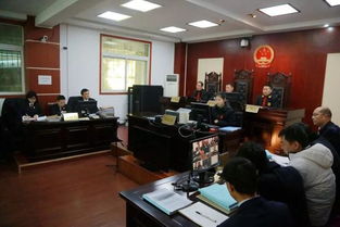 掃黑除惡 平利縣院檢察長出庭公訴涉惡案件